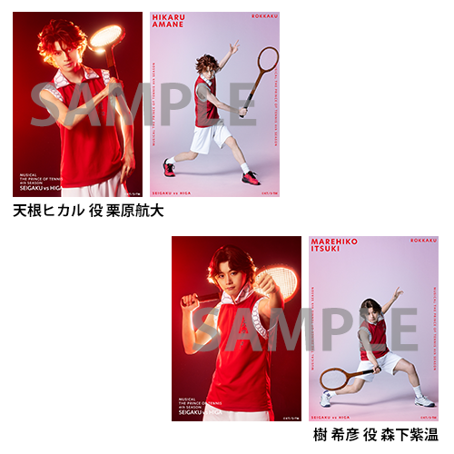 オリジナルブロマイド（ソロ）橘・六角・真田・柳・柳生・早乙女