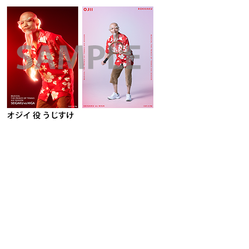 オリジナルブロマイド（ソロ）橘・六角・真田・柳・柳生・早乙女